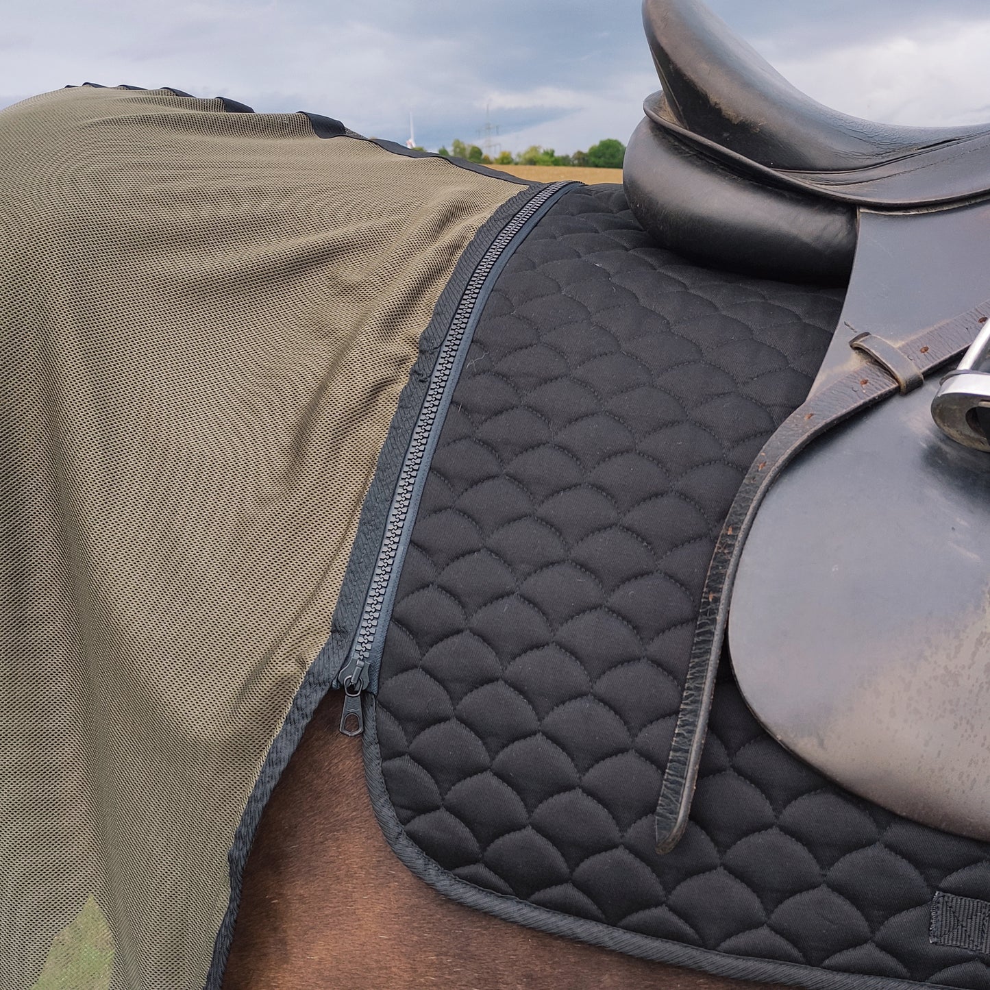 Fliegendecke in Olive für Pferde aus atmungsaktivem Netzstoff mit innovativem Reißverschluss zur Befestigung an der Schabracke