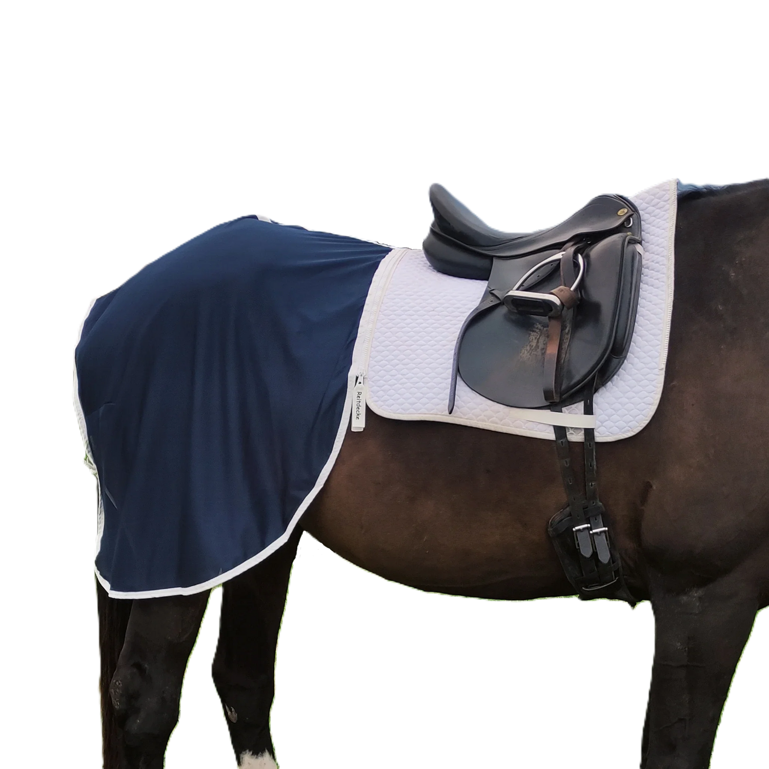 Leichte Fliegendecke für Pferde aus atmungsaktivem Netzstoff mit UV-Schutz, schützt zuverlässig vor Insekten wie Fliegen und Bremsen – ideal für Ausritte und Sommertraining.