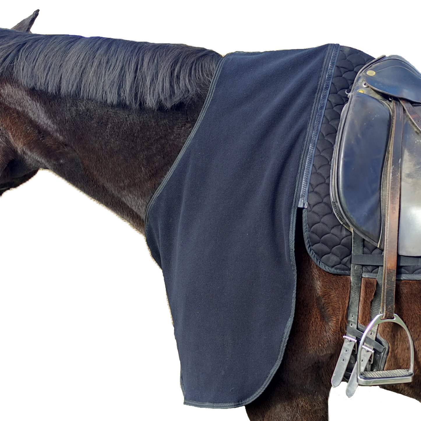 Detailaufnahme des schwarzen Fleece Brustteils für Reitdecke – atmungsaktives, waermendes Material und hochwertiger Schutz für Pferde